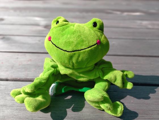 Grüne, fröhlich lächelnde Frosch-Handpuppe auf Holzuntergrund, symbolisiert spielerische Kinesiologie für Kinder